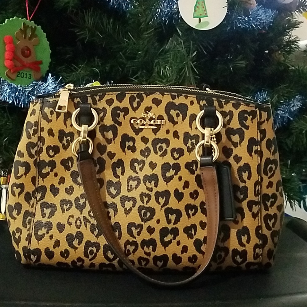 Coach wild heart mini christie carryall